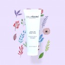 ��ǰ ������